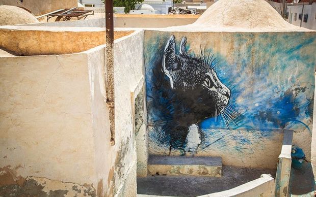 Djerbahood - C215