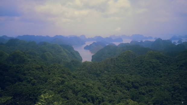 Baie d'Halong