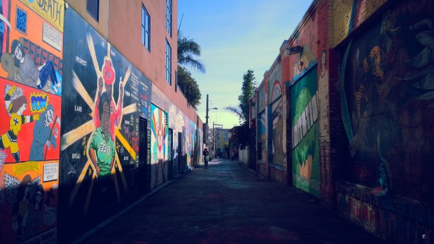 WestCoastExpress_clarionstreet_streetart_SF